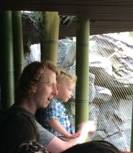 Daddy and son at the zoo