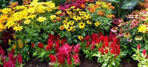 These flowers were a part of our trip to Denver. NOT an indication of the state of my mind. They are lovely, right?